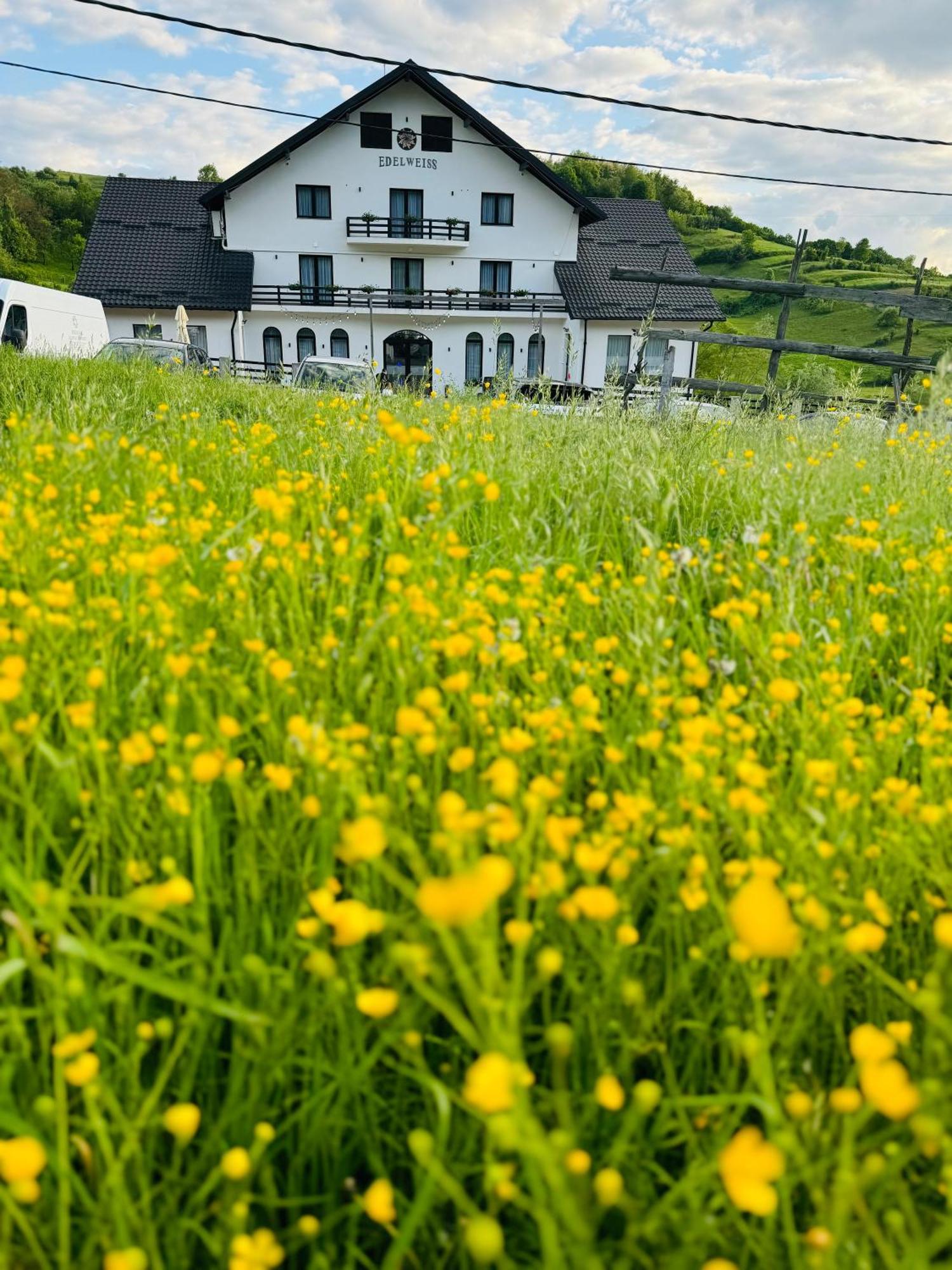 Evenimente Edelweiss Bogdan Vodă Exterior foto